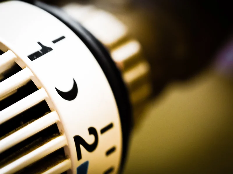 Les conditions idéales : température, lumière et patience