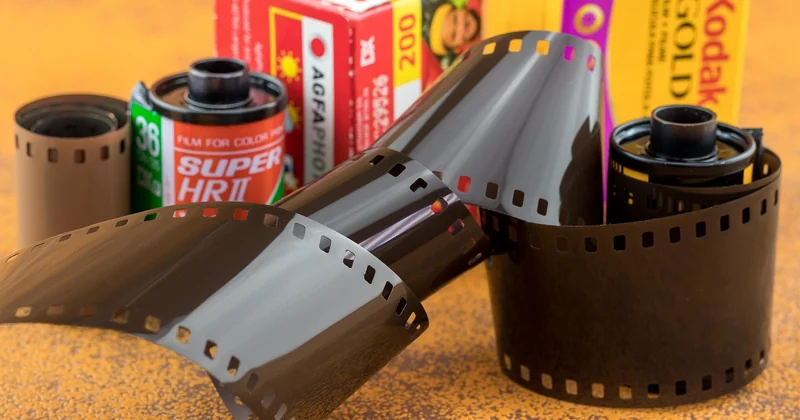 Le test du film plastique : confirmer l'origine des vers