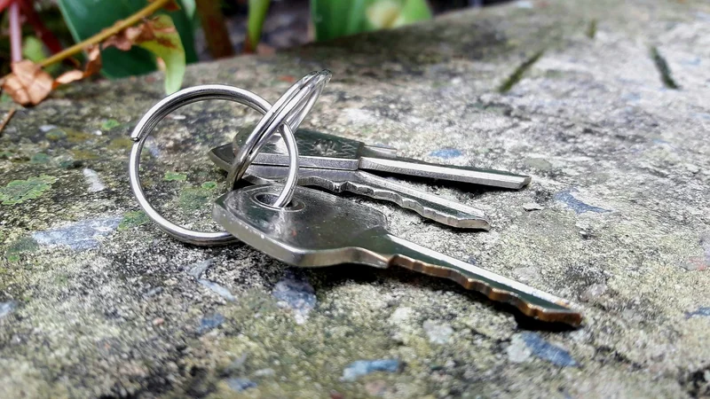 Combien coûte un serrurier à Bardonnex ?