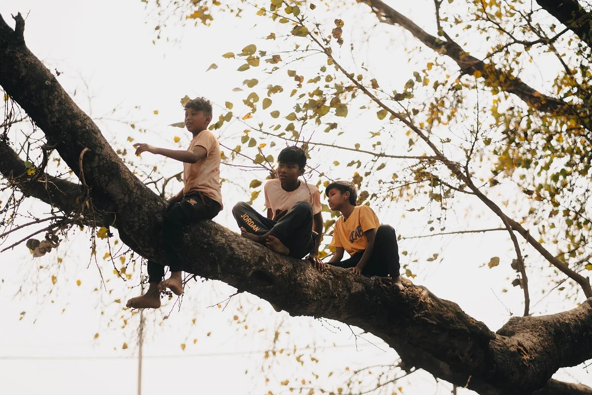 Cabane en carton : 15 idées créatives pour enfants en 2026