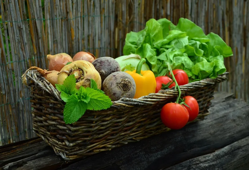 Mon Jardinier Bio : avis client après 3 mois