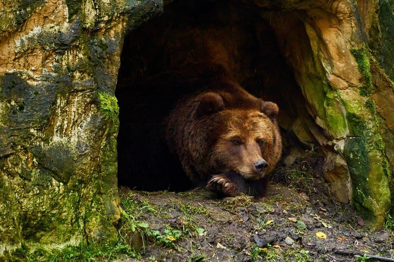 ours