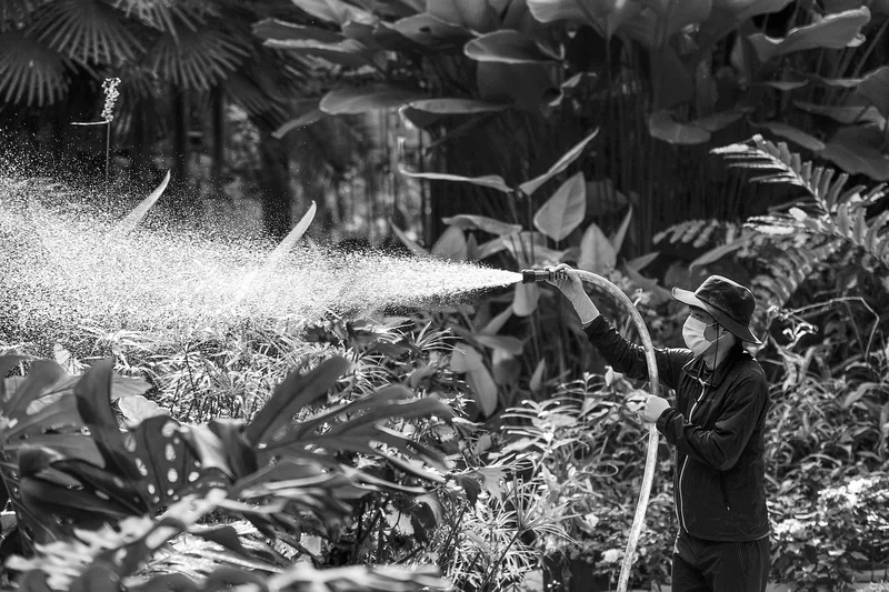 L'arrosage en 2026, ou comment ne pas devenir l'esclave de son jardin