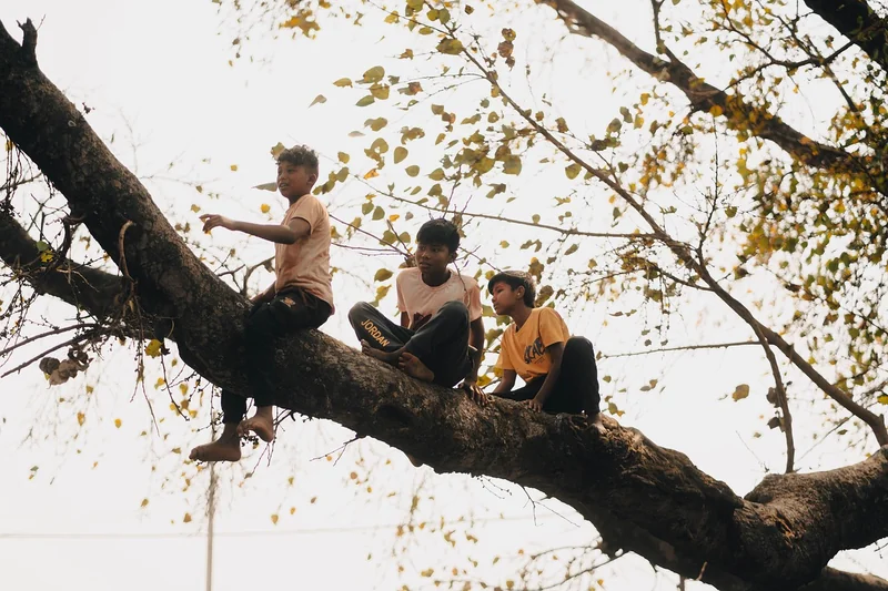 Les 4 erreurs qui font s'effondrer votre cabane
