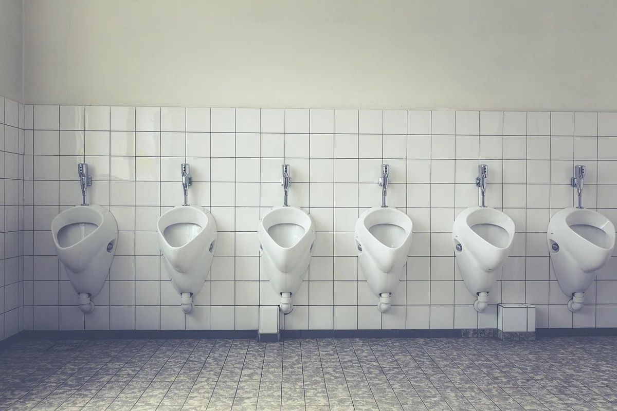 Vers noirs dans toilettes : la solution rapide en cas d'urgence