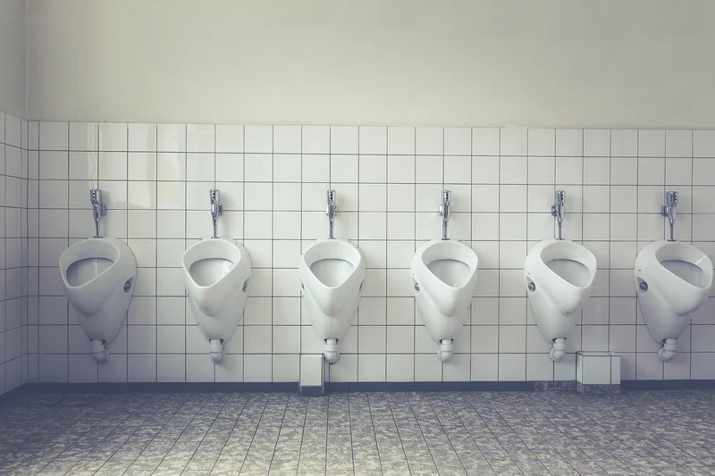 Vers noirs dans toilettes : la solution rapide en cas d'urgence