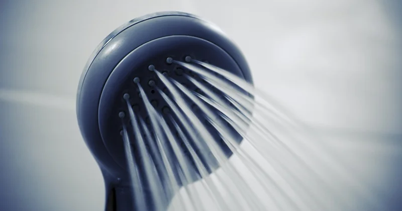 Le protocole de traitement : comment se débarrasser des vers dans les toilettes